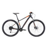 Avanti Montari 2 2025