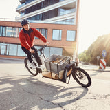 Bergamont E-Cargoville LJ Edition