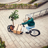 Bergamont E-Cargoville LJ Edition