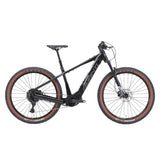 Avanti Competitor-E1 2025