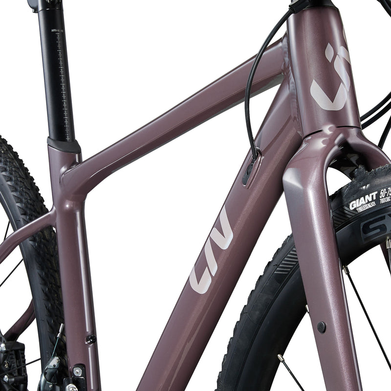 Liv Devote 1 2024