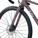 Liv Devote 1 2024