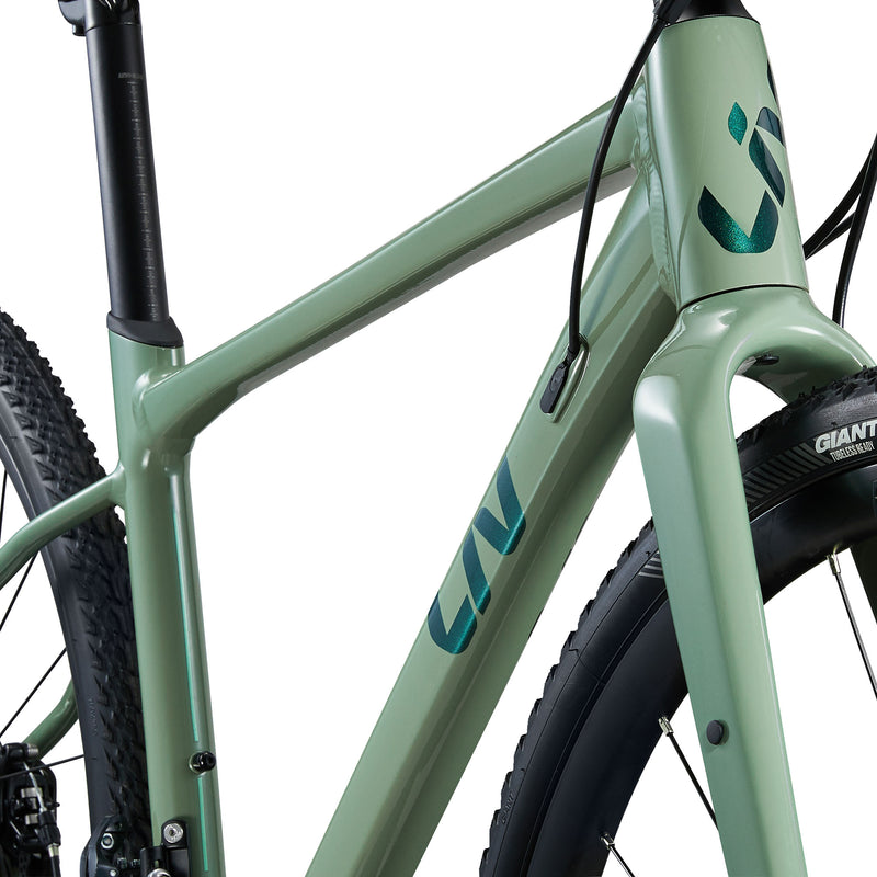 Liv Devote 2 2024