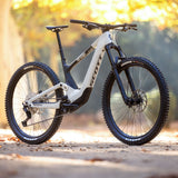 Scott Voltage eRide 920 2025