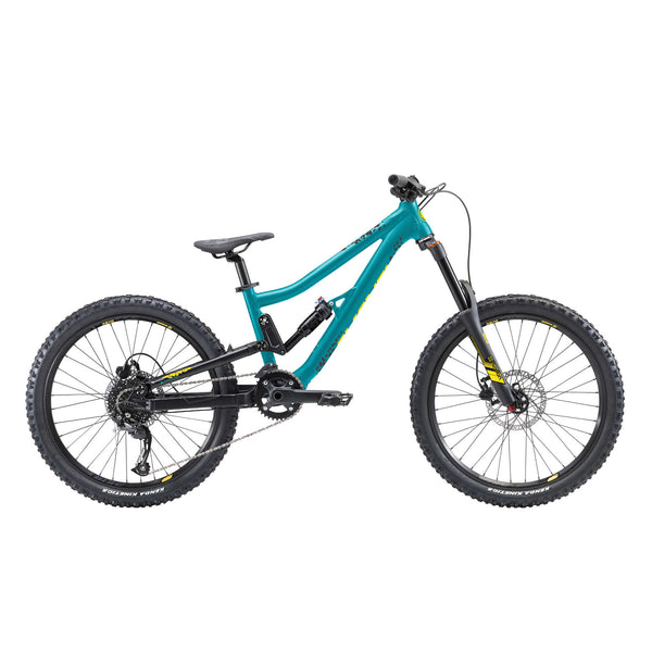 Avanti Hammer S24 2025