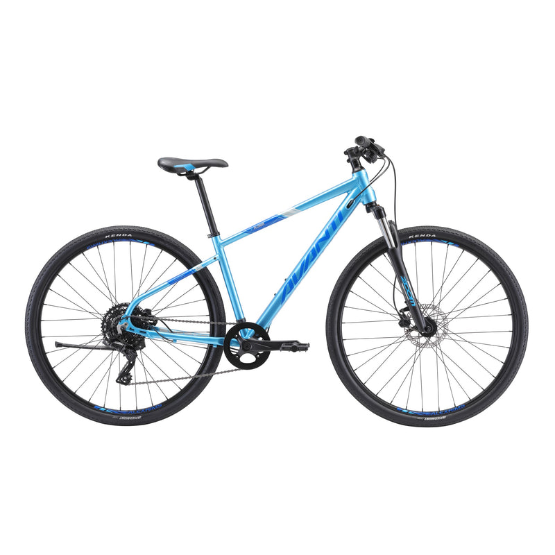 Avanti X-Plorer MS 1W 2025