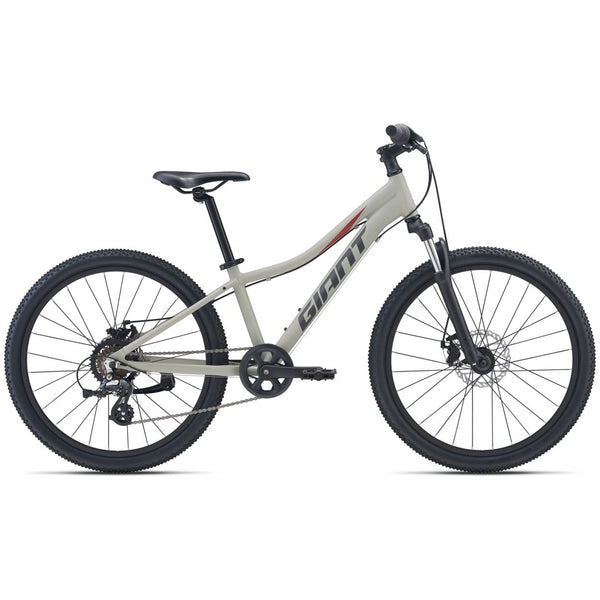 Giant mtb 24 best sale inch