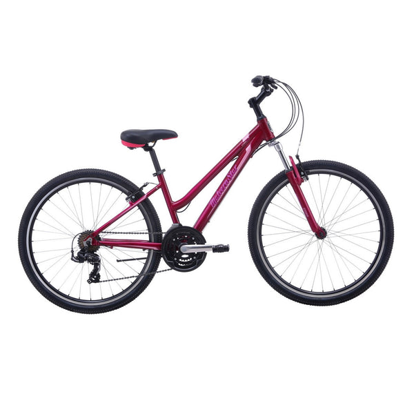 Malvern star hotsell cruiser