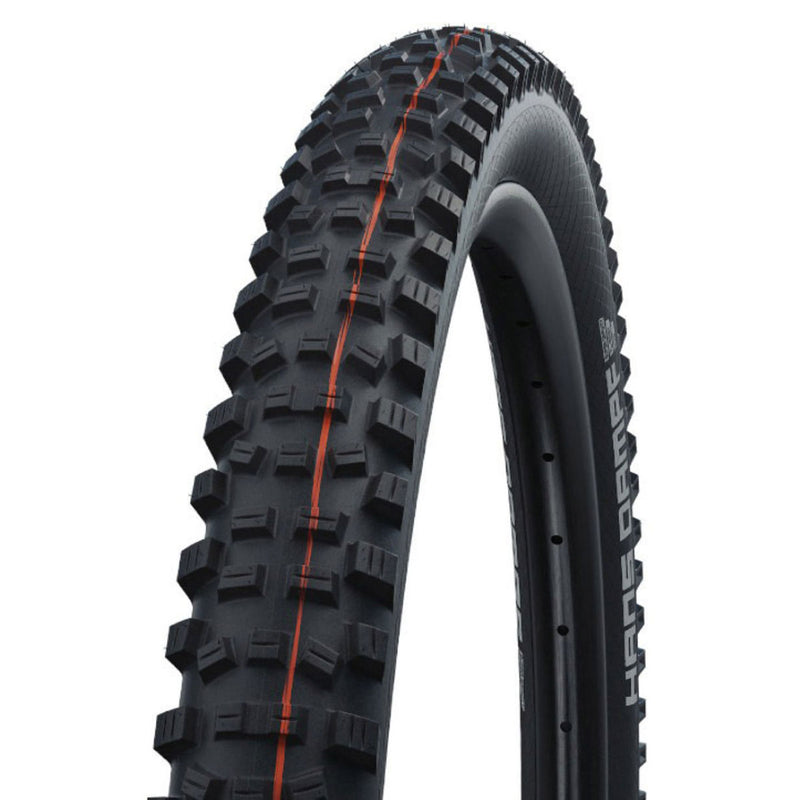 Schwalbe Hans Dampf Super Gravity Evolution MTB Tyre