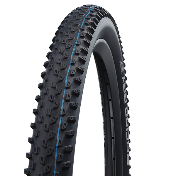 Schwalbe Racing Ray Super Ground Evolution MTB Tyre