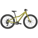 Scott Roxter 24 2025